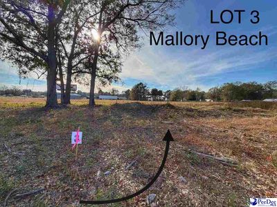 LOT 3 Mallory Beach Rd, Latta, SC, 29565