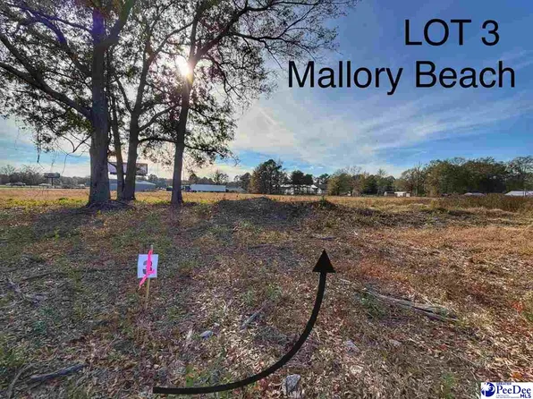 LOT 3 Mallory Beach Rd, Latta, SC 29565