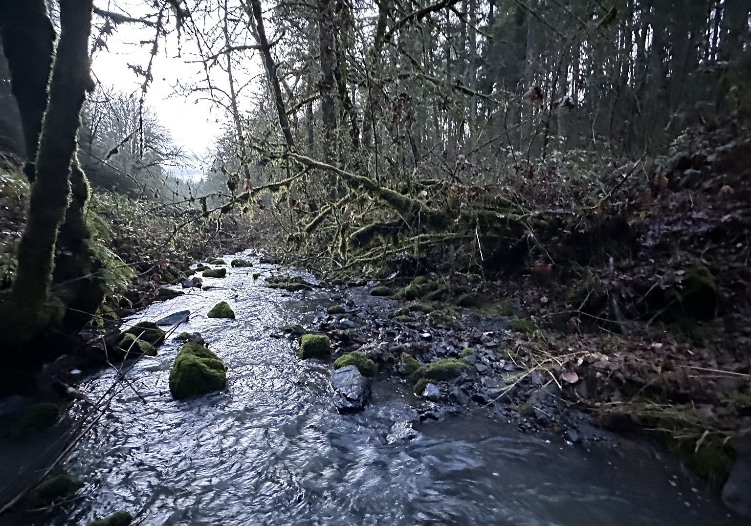 86134 Lorane Hwy, Eugene, OR 97405 | MLS #23048230 | Zillow