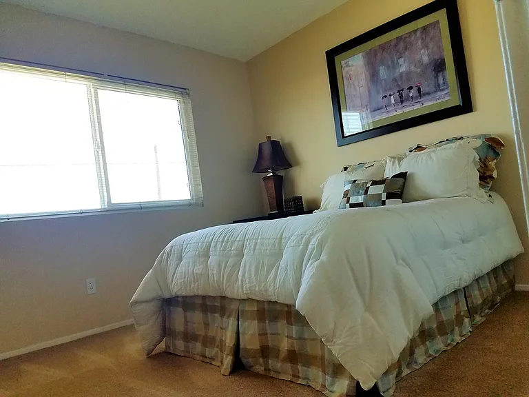 Park Parthenia Apartments — Photo 9