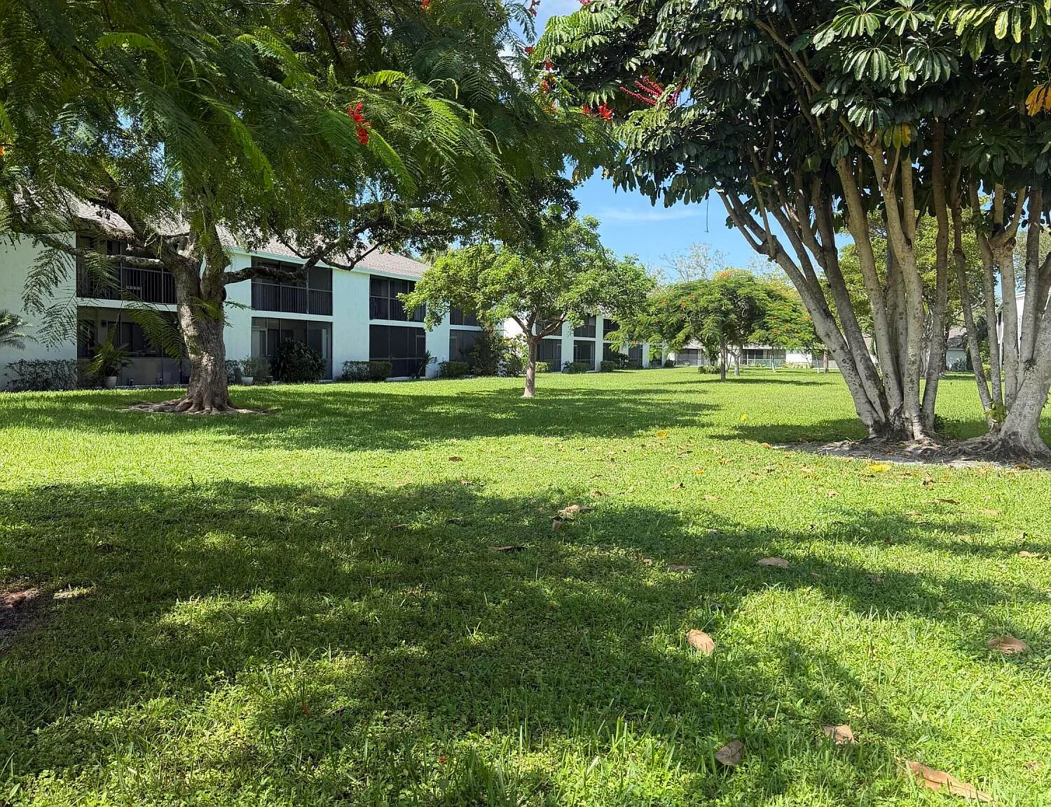 2 bed, 2.0 bath, 873 sqft, $2,550 — Photo 2