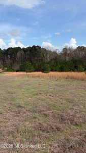 0 Highway 43 N, Pelahatchie, MS, 39145