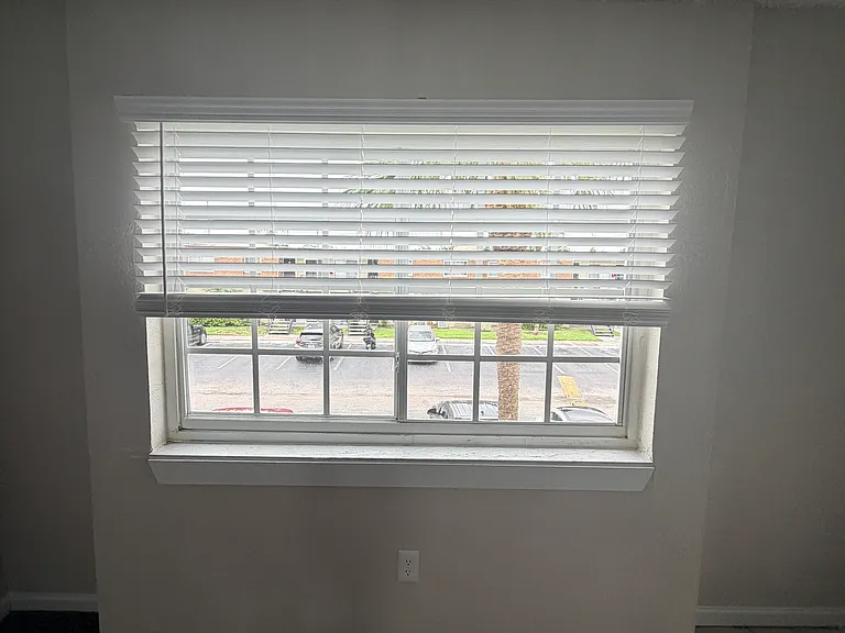 Living Room Window