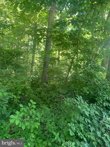 Forest Rd, Front Royal, VA, 22630