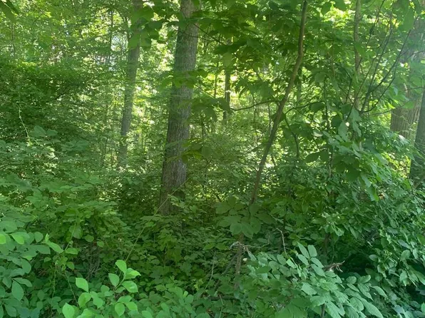 Forest Rd, Front Royal, VA 22630