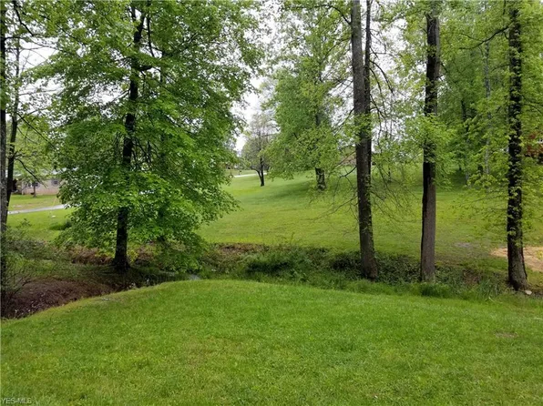 Whispering Pines Rd, Davisville, WV 26142