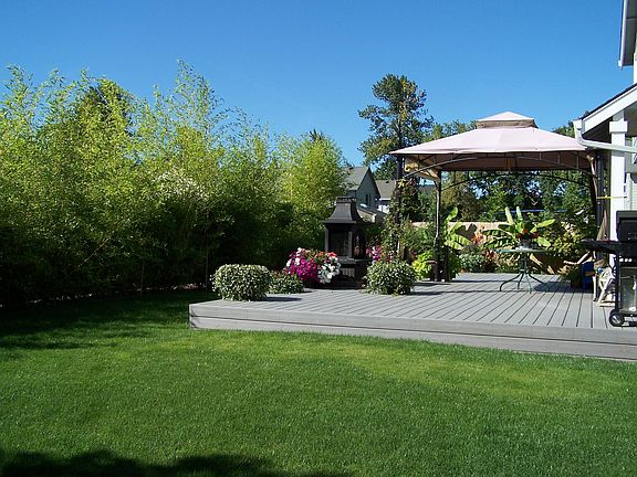 Large back yard and bamboo!