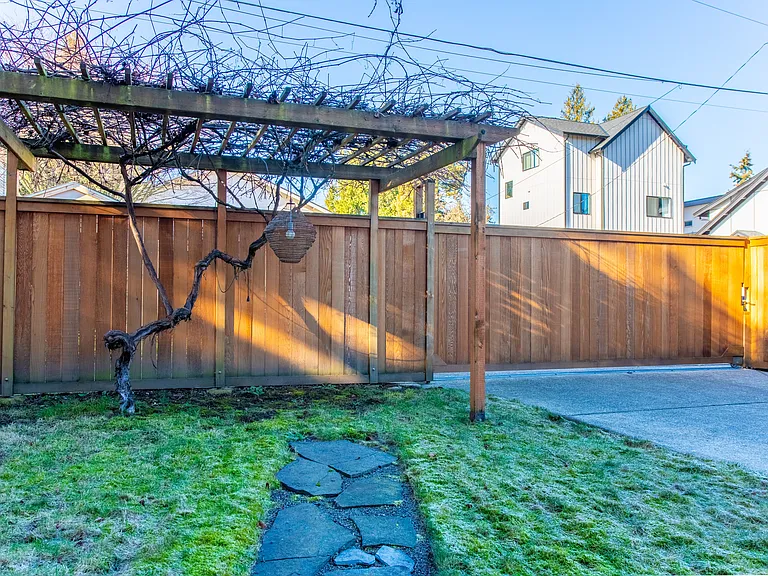 Beautiful pergola with a canopy of grape leaves in the summer