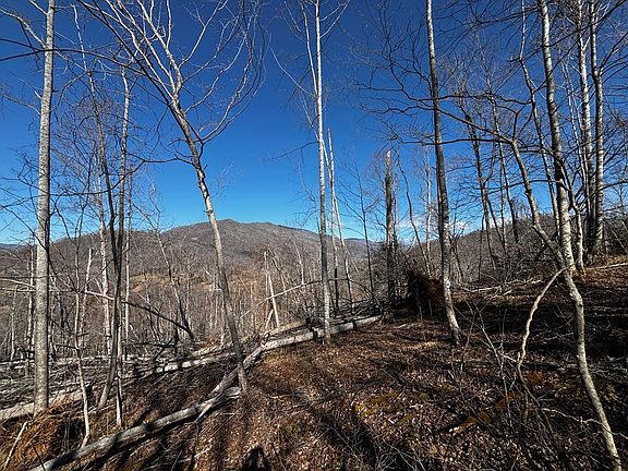 3rd image of LOT 22 Fawn Rd