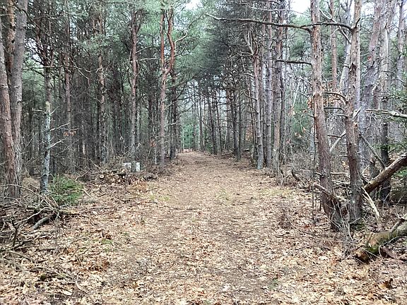 3rd image of 2510 W Winston Rd