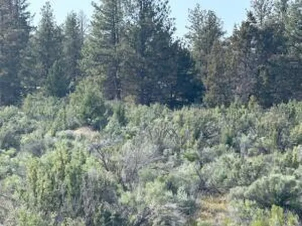 0 Council Butte Dr Lot 8, Beatty, OR 97621