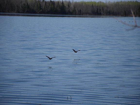 Lake View 4