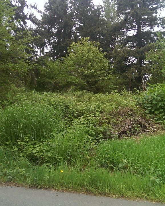 2nd image of 0 55th Avenue S