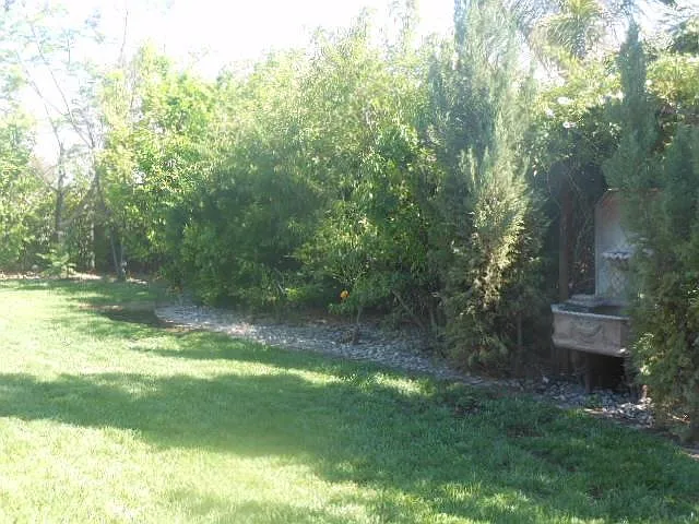 Backyard fruit trees