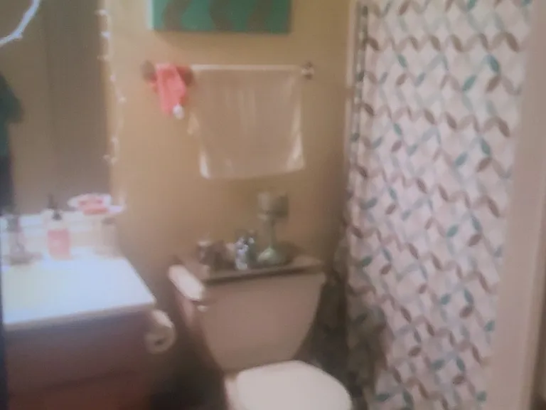 1175 N Village Dr #1 — Photo 3