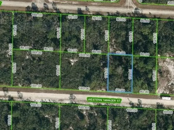 3449 Western Tanager St, Lake Placid, FL 33852