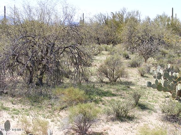5th image of 0 W Tangerine Rd