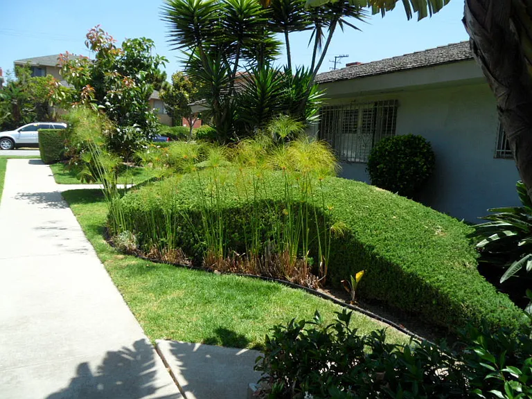 5008 W 58th Pl — Photo 12