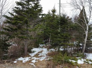 530 Seal Cove Road, Cbs, NL A1X6R4