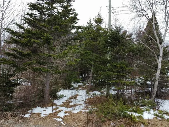 530 Seal Cove Road, Cbs, NL A1X6R4