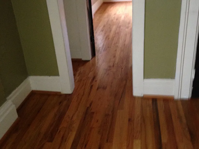 1411 Park St #3 — Photo 4