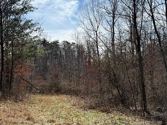 2nd image of E Side State Rte #335