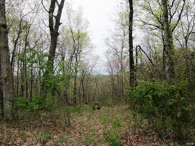 1st image of 0 Coyote Crest Ln