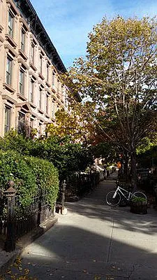 Rented by Signature Property Realty | media 17