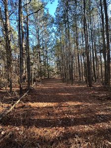 Lot 4 Saggus Road, Washington, GA, 30673