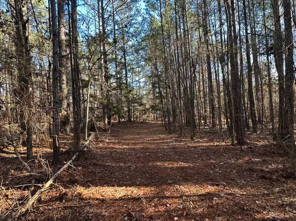 Lot 4 Saggus Road, Washington, GA 30673