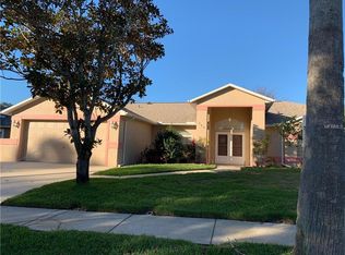 735 Brittany Park Blvd, Tarpon Springs, FL 34689
