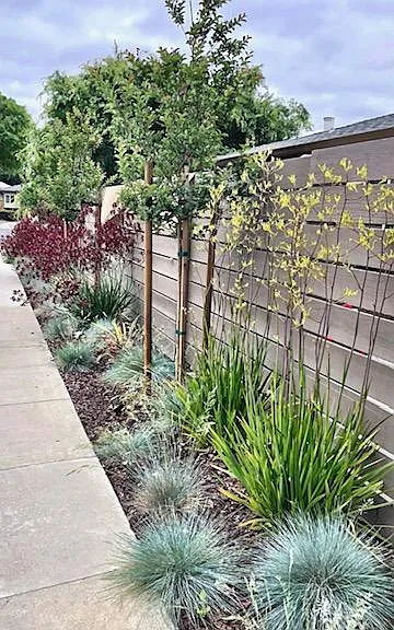 2471 Karen Dr #1 — Photo 17
