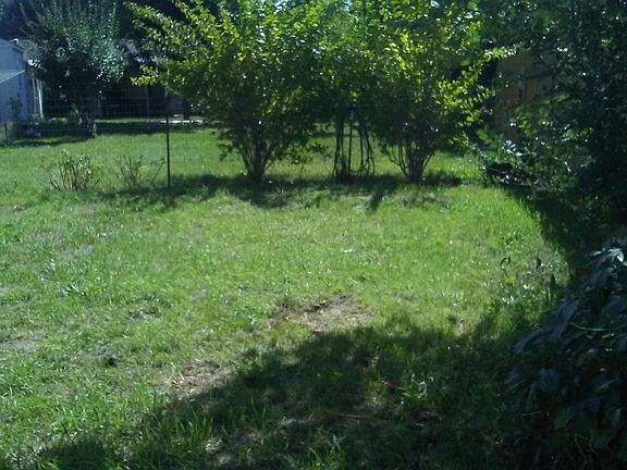 My garfen spot is just grass