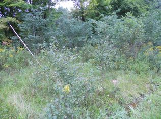 Old State Rd, Chardon, OH 44024