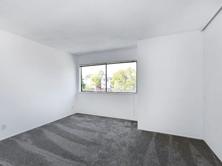 3636 Shelter Creek Dr — Photo 19