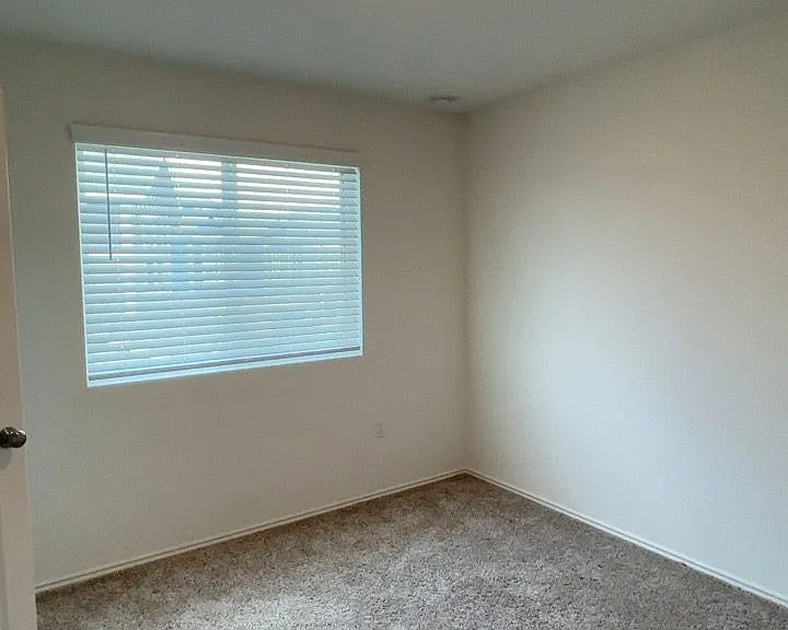 15209 Spruce Frost Cv #B — Photo 21