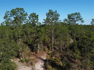 12500 NE 87th Pl, Bronson, FL 32621