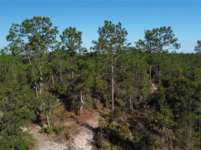 12500 NE 87th Pl, Bronson, FL, 32621