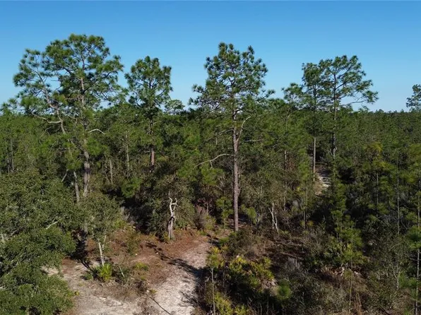 12500 NE 87th Pl, Bronson, FL 32621