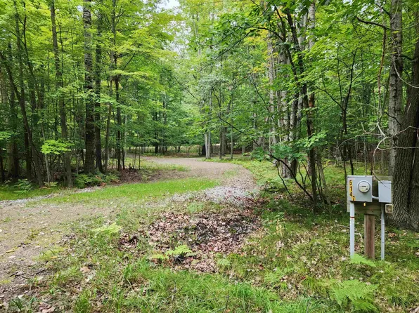 5147 Cherry Rd, Farwell, MI 48622