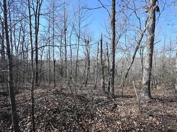 130 Wyatt Ln Lot 11, Linden, TN 37096