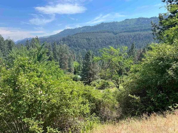 Nka Bald Eagle Dr, Orofino, ID 83544