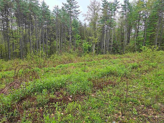 4th image of 63 West Hill