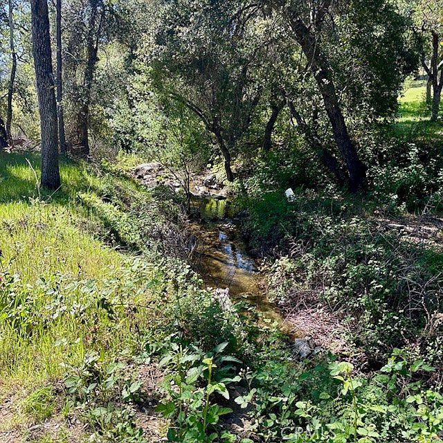 1st image of 0 Avenue Ranch Rd Lot 4