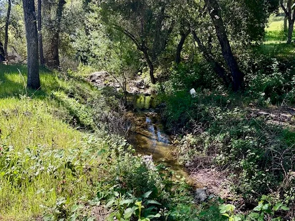 0 Avenue Ranch Rd Lot 4, Jolon, CA 93928