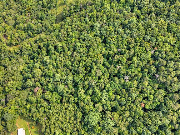 5th image of Chestnut Gap Ln