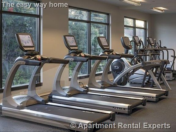 Apartment Rental Experts