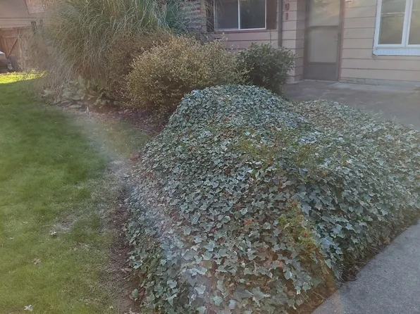401 S Gardner, Burlington, WA 98233