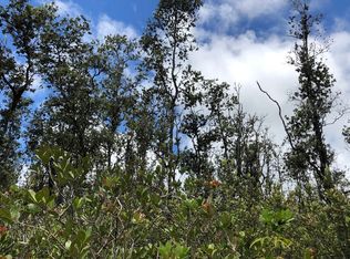 40th St LOT 10, Kurtistown, HI 96760