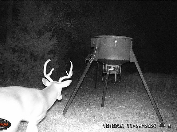 4th image of 871 Hcr 1212 Rd